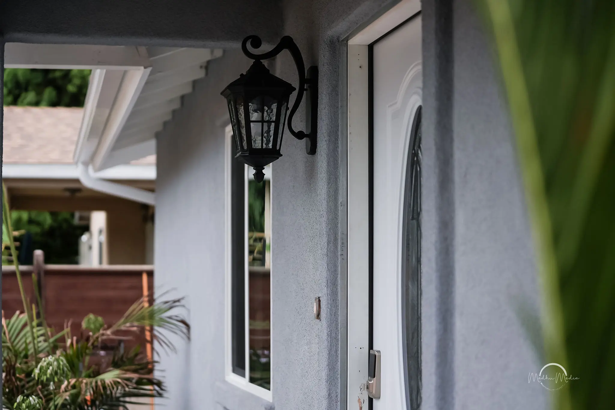 Front door with lantern and plants outside.